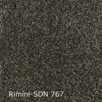 Rimini-SDN 767